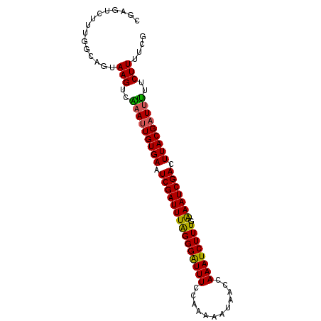 secondary structure