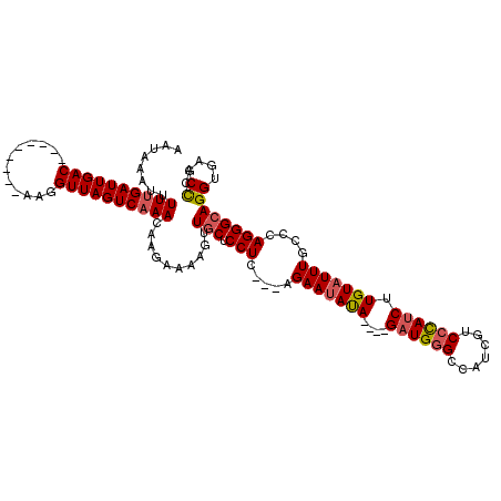 secondary structure