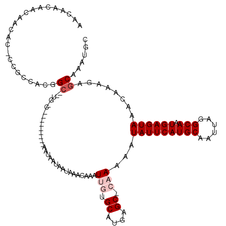 secondary structure