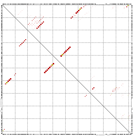 dotplot