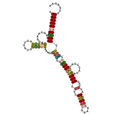secondary structure