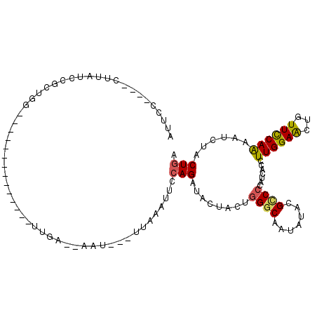 secondary structure