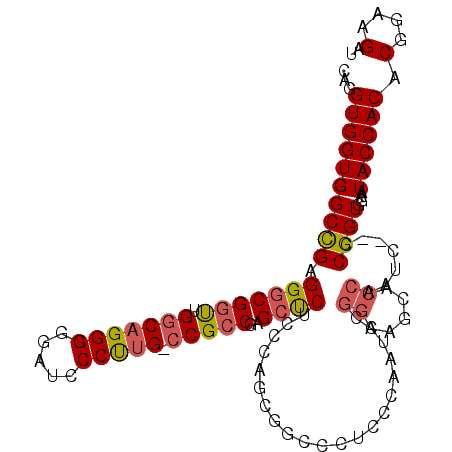 secondary structure