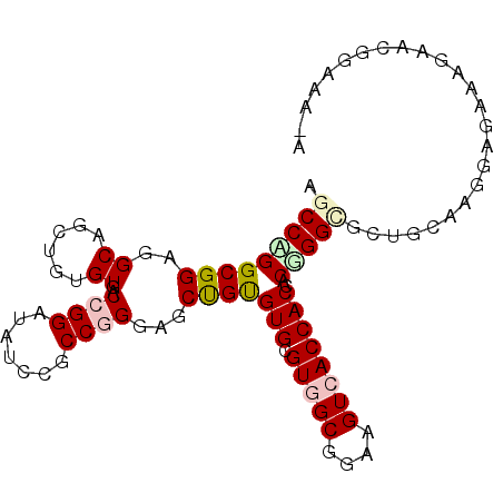 secondary structure