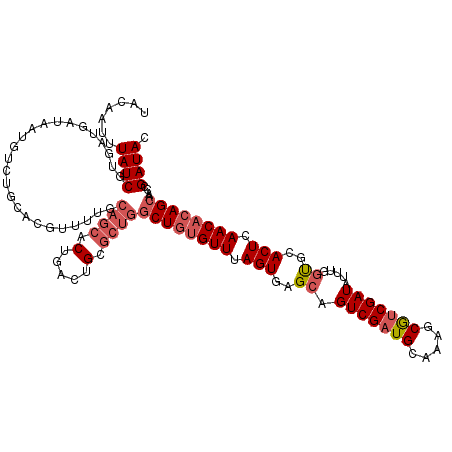 secondary structure