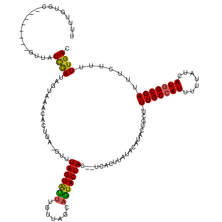 secondary structure