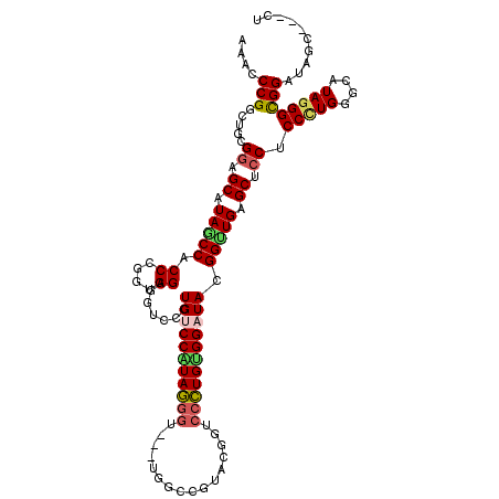 secondary structure