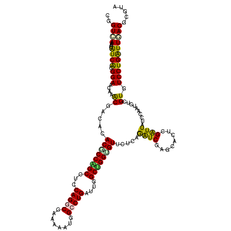 secondary structure
