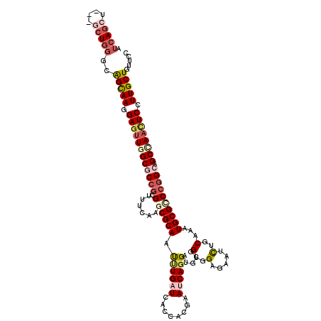 secondary structure