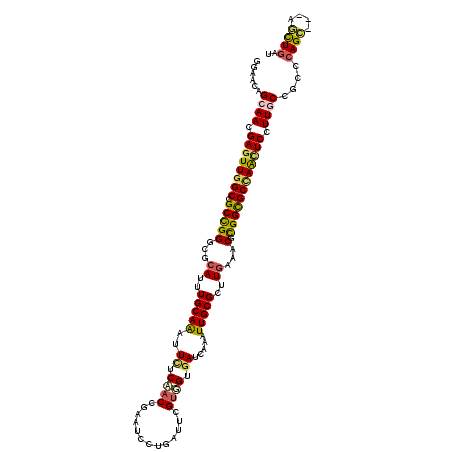 secondary structure