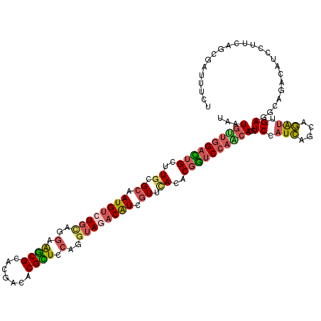 secondary structure