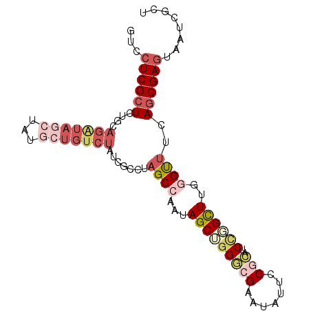 secondary structure