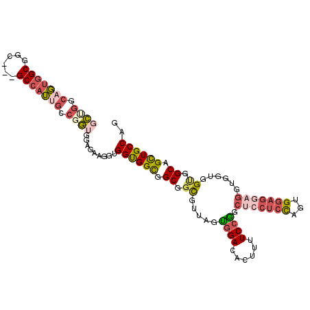 secondary structure