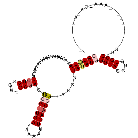 secondary structure