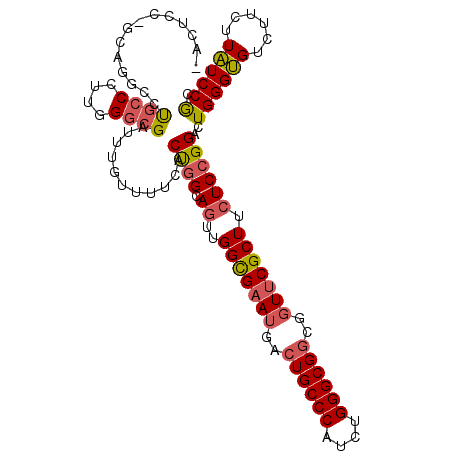 secondary structure
