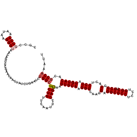 secondary structure