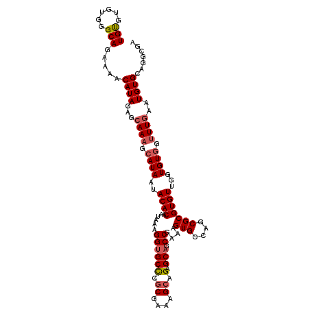 secondary structure