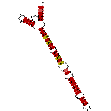 secondary structure