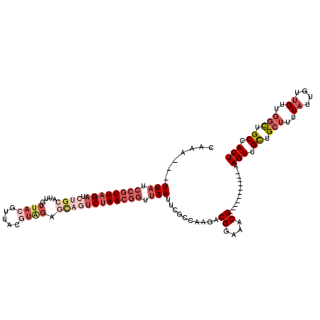 secondary structure