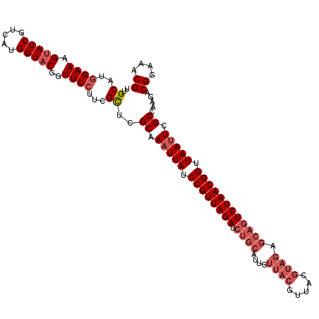 secondary structure