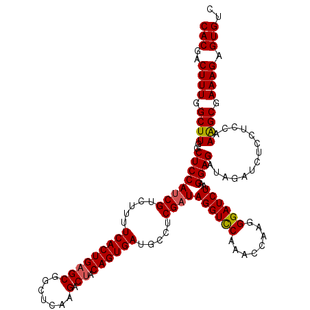 secondary structure