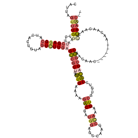 secondary structure