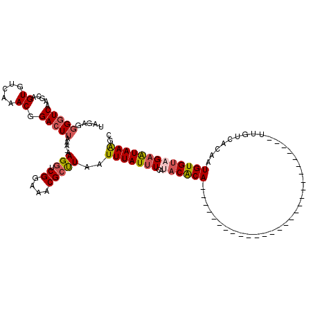 secondary structure