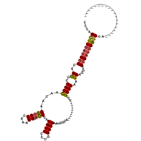 secondary structure