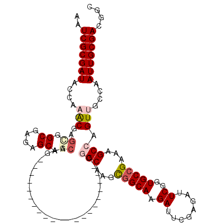 secondary structure