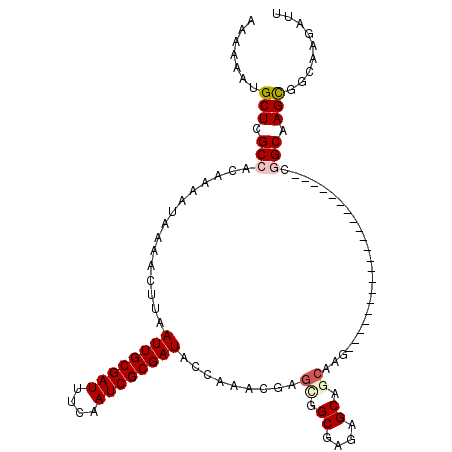 secondary structure