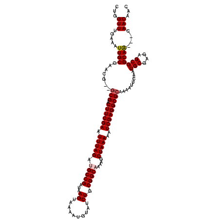 secondary structure