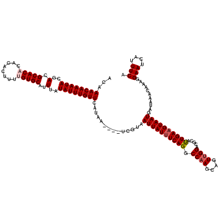 secondary structure