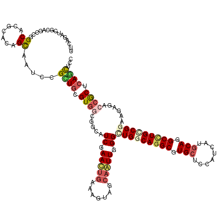 secondary structure