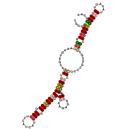 secondary structure