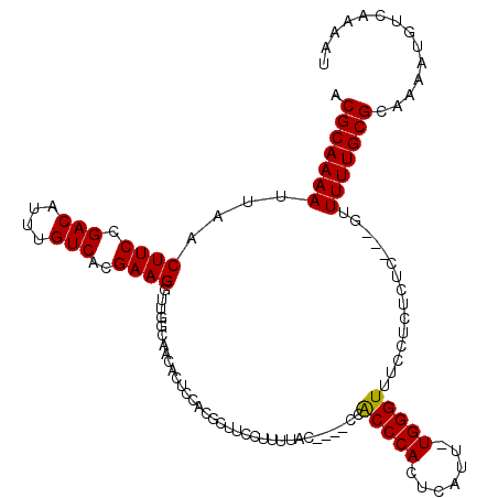 secondary structure