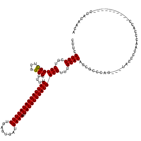 secondary structure