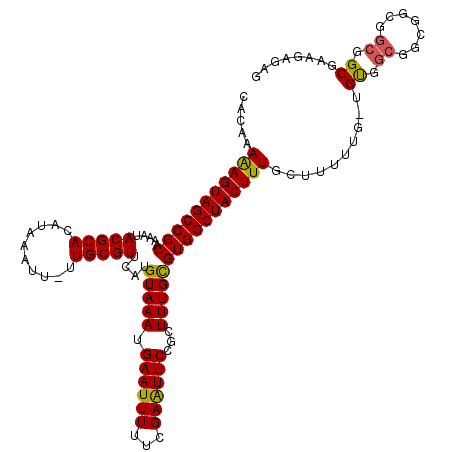 secondary structure