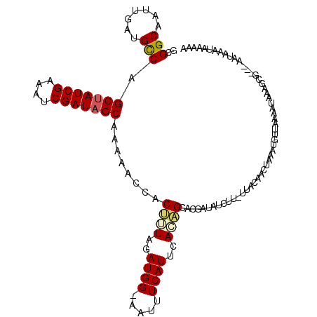 secondary structure