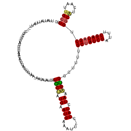 secondary structure