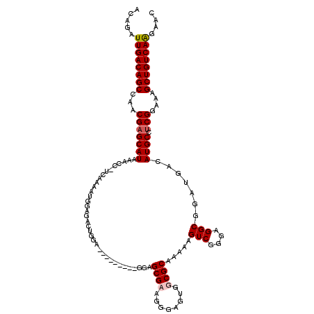 secondary structure