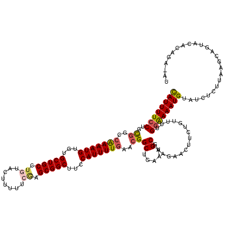 secondary structure