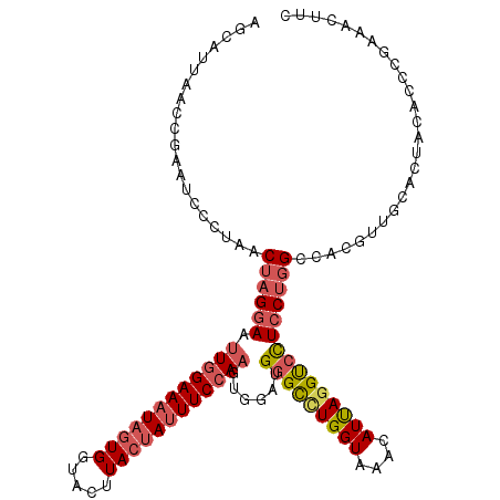 secondary structure