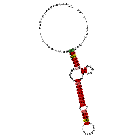 secondary structure