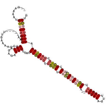 secondary structure