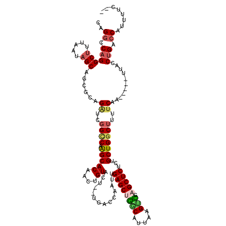 secondary structure