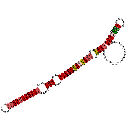 secondary structure