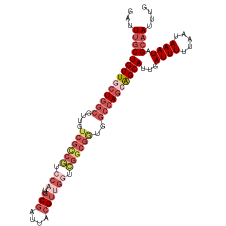 secondary structure