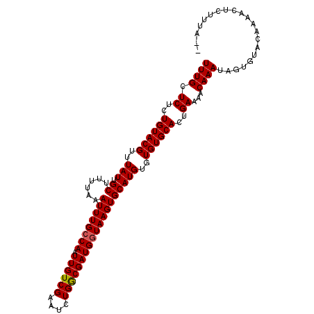secondary structure