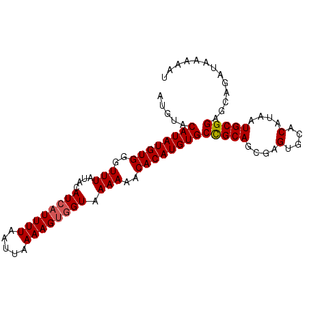 secondary structure