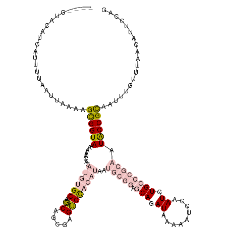secondary structure